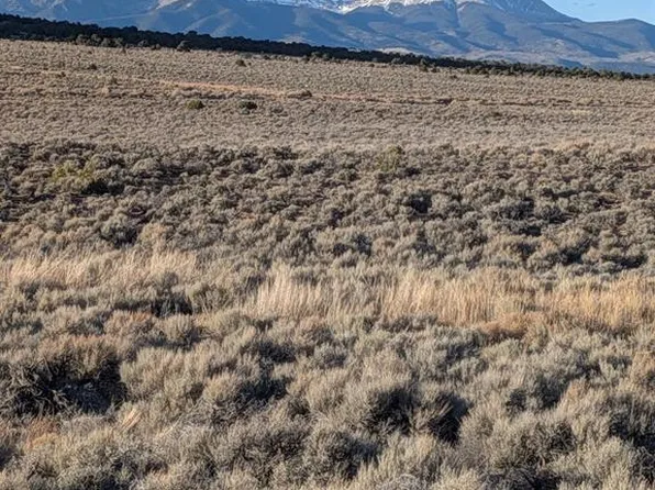 Lot 646 Slegers Road, Fort  Garland, CO 81133