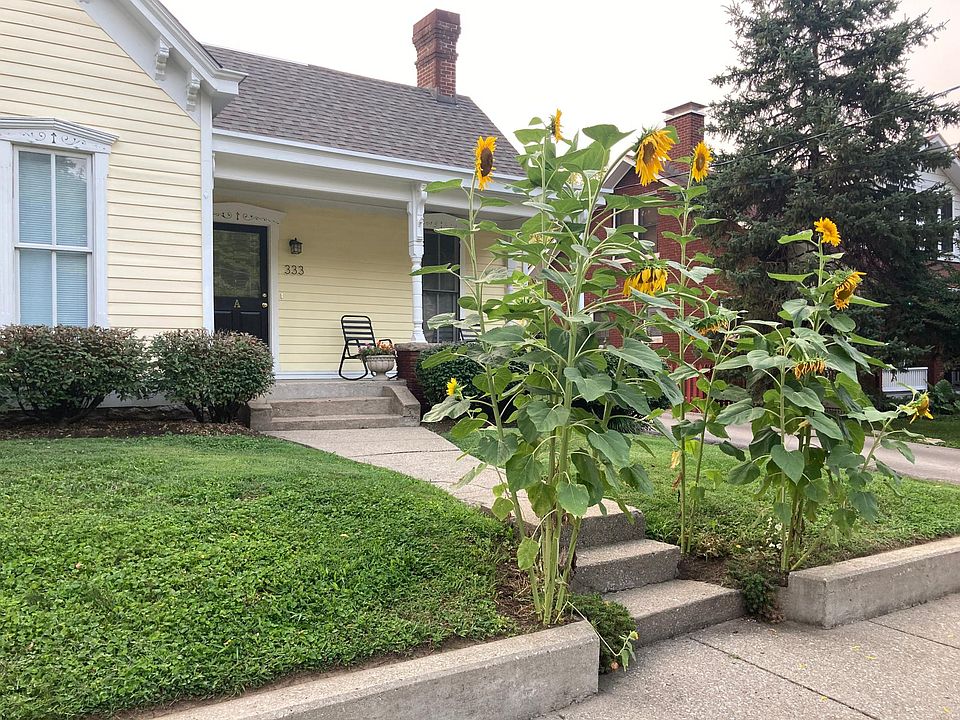 Sunflowers and front porch.