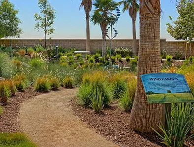 Homecoming at Terra Vista — Photo 21