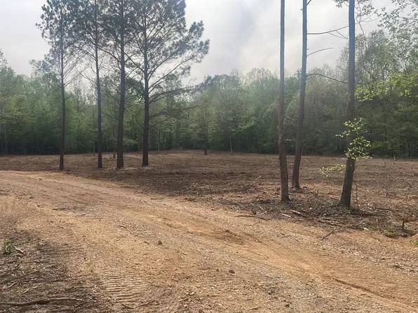 0 Birdsong Rd Lot 5, Holladay, TN 38341