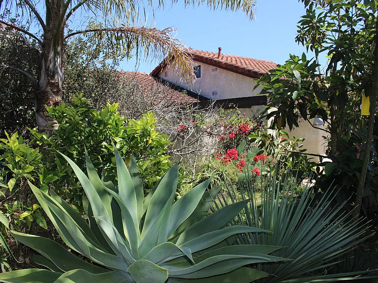 Front Yard