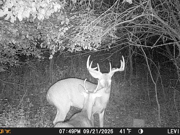 5th image of 80 Acres Hwy #64