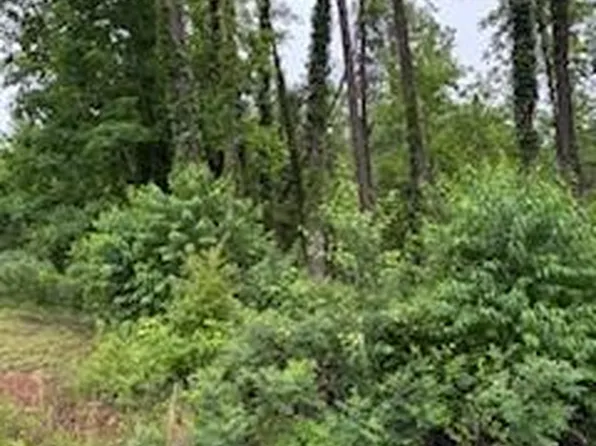0 Heathwood Ln Lot 32, Franklin, NC 28734