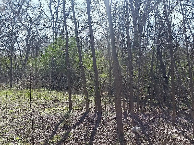 2nd image of 506 SE 6th St