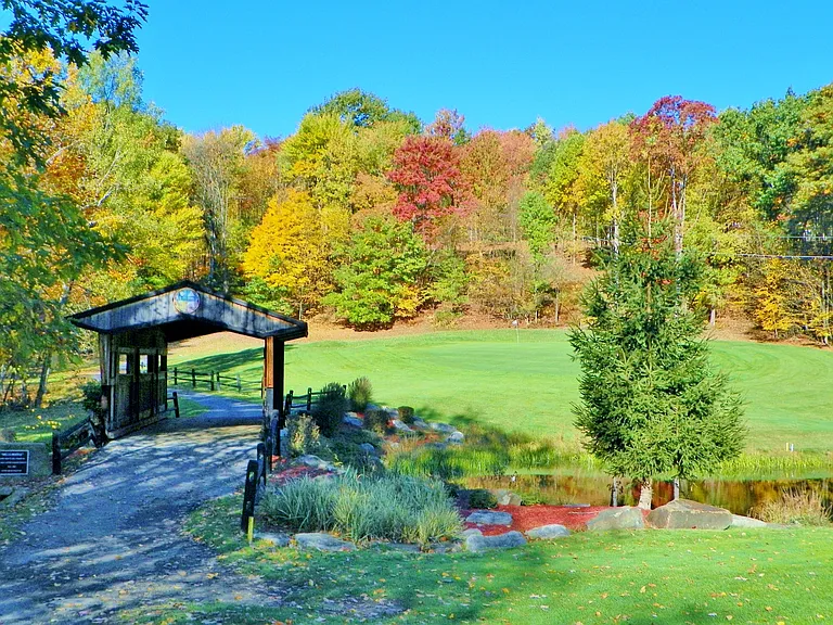 Silver Golf Course Hole #14