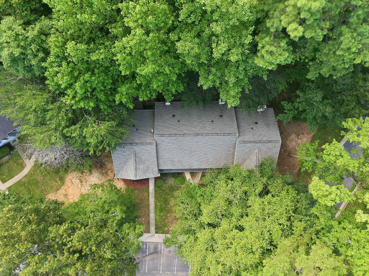 3 bed, 1.5 bath, 1240 sqft, $1,650 — Photo 4