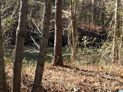 0 Wolf Pond Rd, Talladega, AL, 35160
