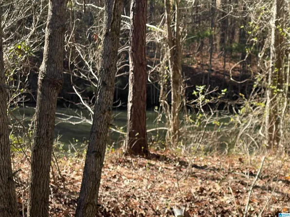 0 Wolf Pond Rd, Talladega, AL 35160