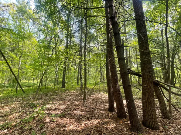 V/l 20a 40th St, Paw Paw, MI 49079