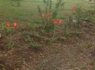 10140 E Dollarosa Ct, Floral City, FL 34436