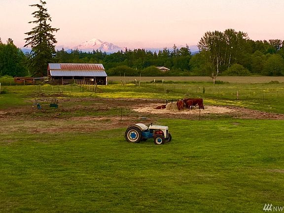 Gorgeous Mt. Baker peeks out to beckon from across the fields that you reimagine. 