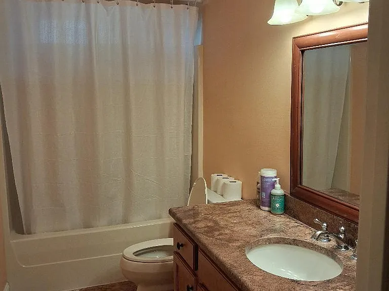 Hall bathroom