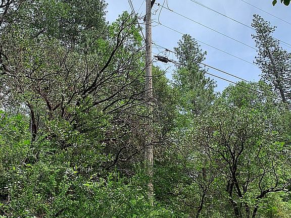 3rd image of 12492 Red Fir Ln