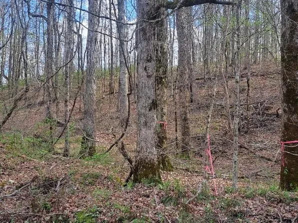 0B Napier Rd, Hohenwald, TN 38462