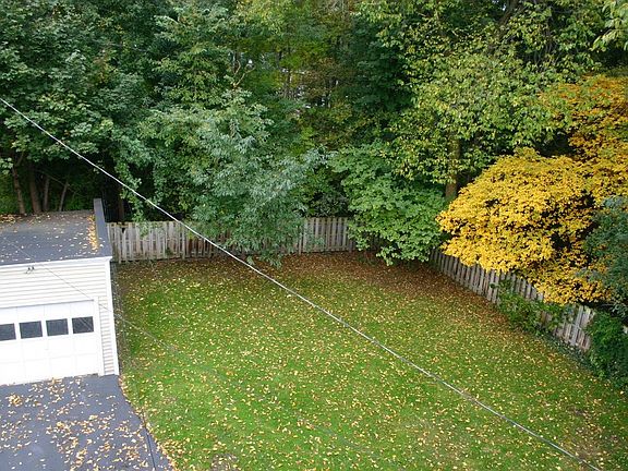 Back Yard 2