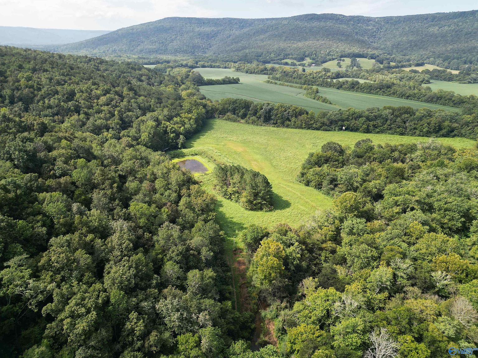 County Road 12, Hollytree, AL 35751 MLS 21842900 Zillow