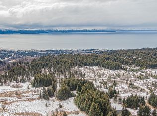 Township Road B Tundra Rose Rd, Homer, AK 99603
