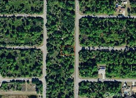 1st image of 3327 Santilli St