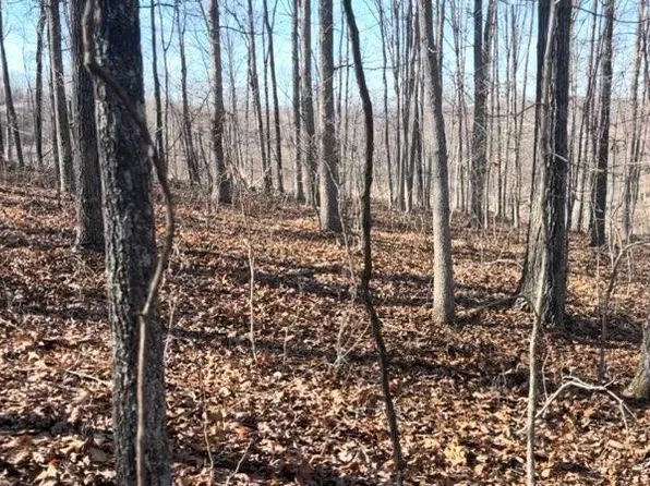 000 Private Road 3424, Mountain View, MO 65548