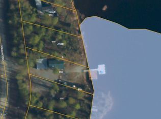 49513 S Silver Salmon Dr, Willow, AK 99688