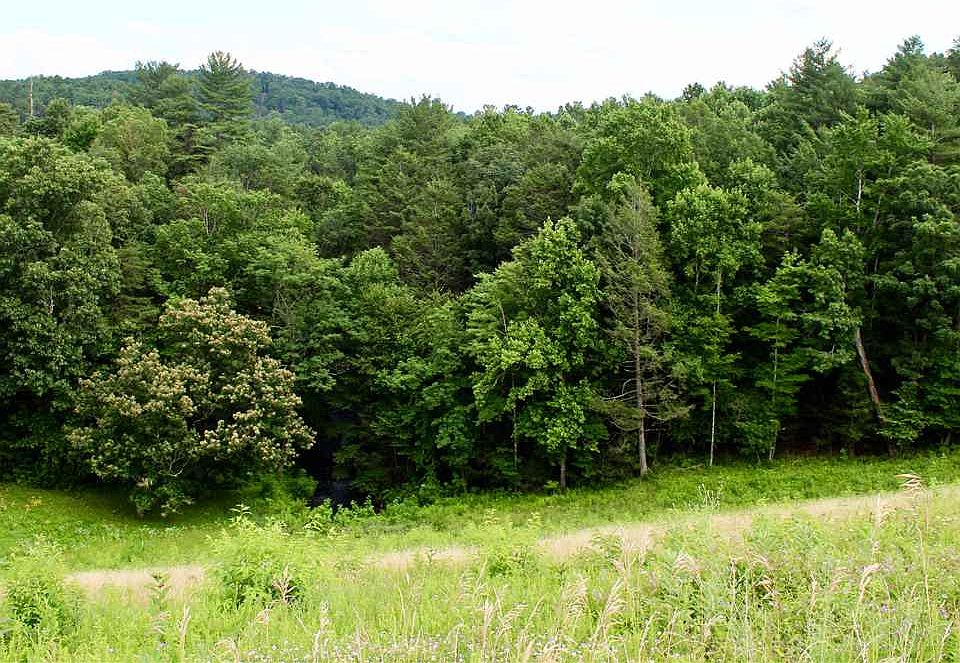 2nd image of 0 Tbd Union Springs Rd