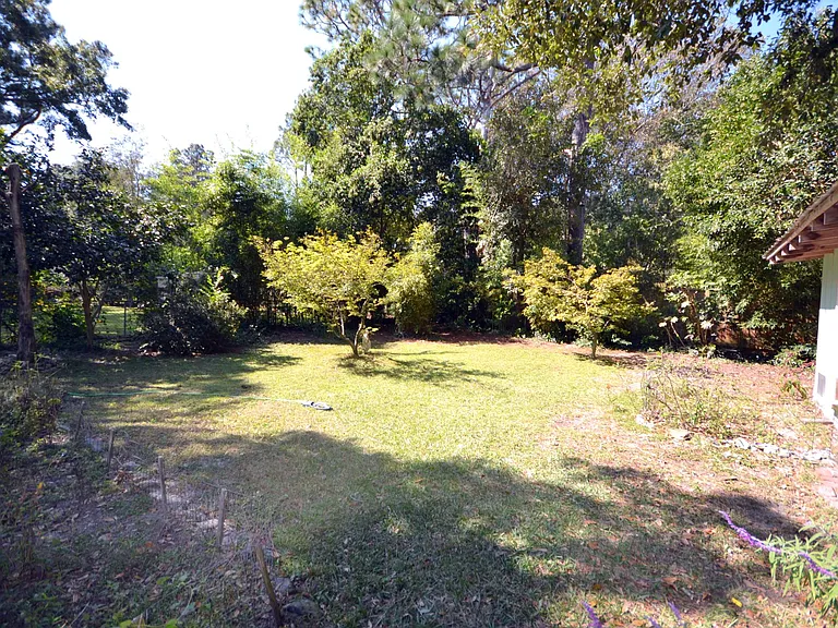Back yard