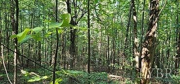 4th image of 0 Mountain Top Dr Lot 22