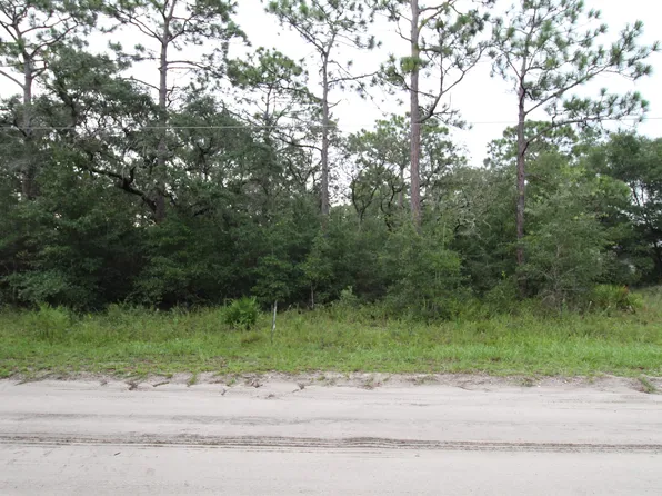 LOT 4 Britton Dr, Panacea, FL 32346