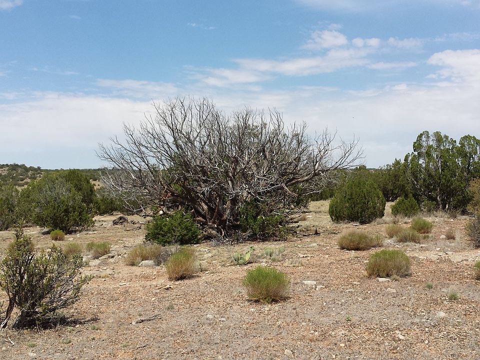 1st image of 57274 N Bridge Canyon Pkwy