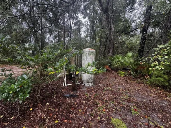 72 Guava Pass Dr, Ocklawaha, FL 32179