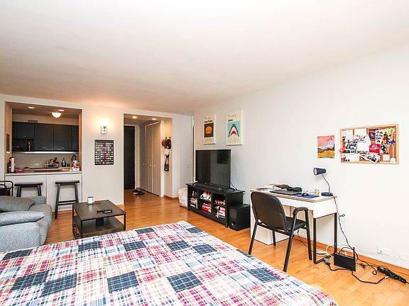 4th image of 535 N Michigan Ave APT 2010