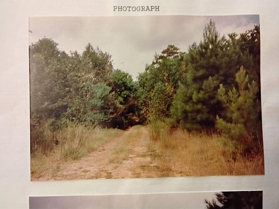 4th image of 46301 Randall Rd