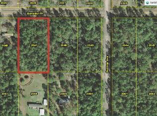 4325 Benedict St, Hastings, FL 32145