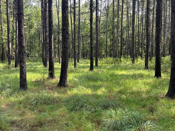 Highway 49, Mount Olive, MS 39119