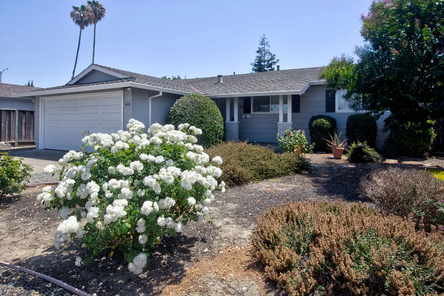 4848 Coco Palm Dr photo 1