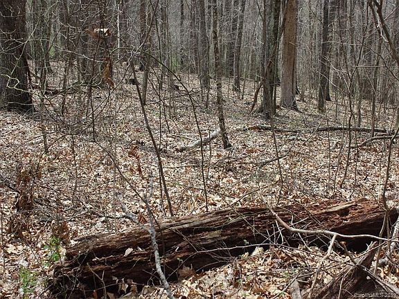 5th image of 0 Wooded Valley Ln