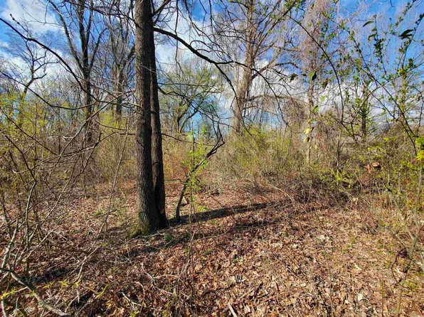 Griggs Ln, Corning, AR 72422