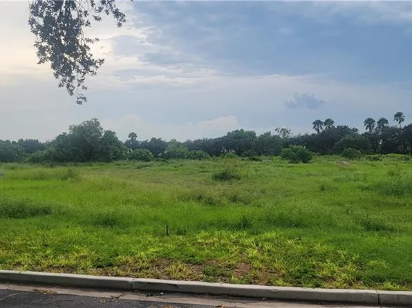 90 S Neuhaus Dr, McAllen, TX 78503