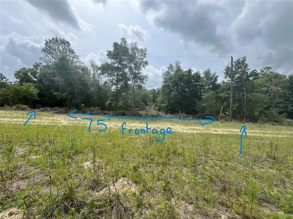 S San Angelo Pkwy Lot 320, Dunnellon, FL 34432