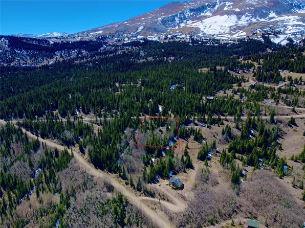 1221 Roberts Road, Alma, CO 80420