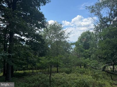0 Fire Tower Rd, Great Cacapon, WV, 25422