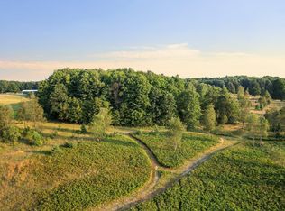 0 SW Inman Rd, Fife Lake, MI 49633