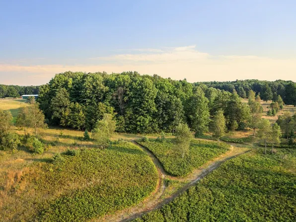 0 SW Inman Rd, Fife Lake, MI 49633