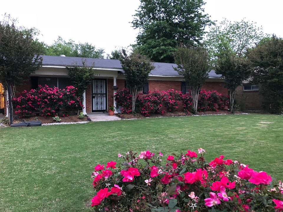Front yard