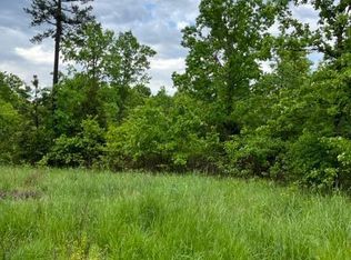 313 Private Road 217 #A, Silva, MO 63964