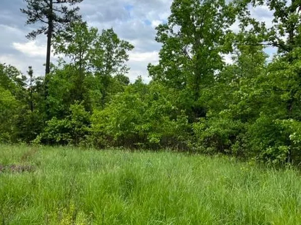 313 Private Road 217 #A, Silva, MO 63964