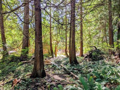 1940 N Cedar Park Drive, Point Roberts, WA, 98281