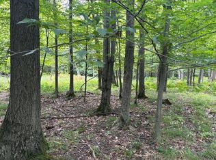 Flarity Rd, Brethren, MI 49619