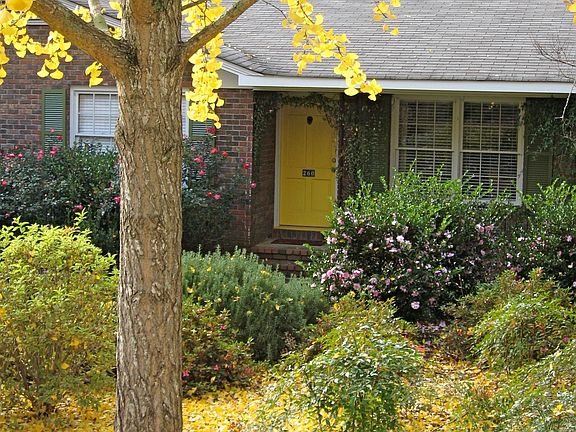 front door, fall 2012