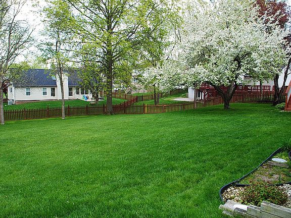 4 Berry Hill Crt - Backyard